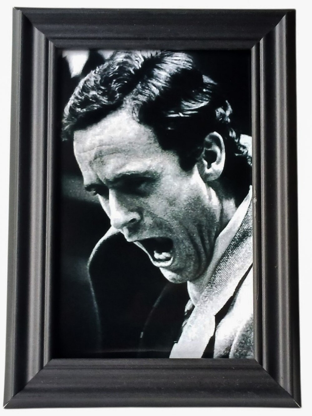 Serial killer Ted Bundy Horror Killer art creepy scary horror crime framed print
